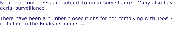 Note that most TSSs are subject to radar surveillance.  Many also have aerial surveillance  There have been a number prosecutions for not complying with TSSs - including in the English Channel ...