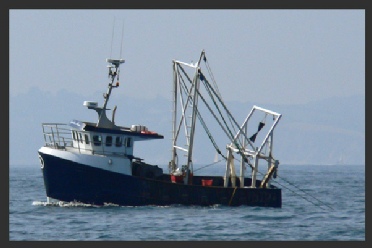 A vessel engaged in trawling