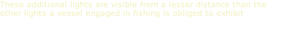 These additional lights are visible from a lesser distance than the other lights a vessel engaged in fishing is obliged to exhibit
