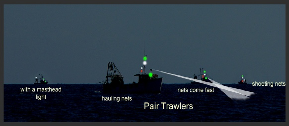 A fleet of fishing vessels at night