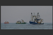 Vessels in proximity engaged in purse seining