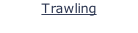 Trawling